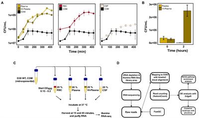 Global transcriptional responses of pneumococcus to human blood components and cerebrospinal fluid